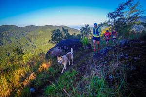 BIB: 
                            <button type="button" onclick="openModal(19061957)" class="btn btn-primary btn-sm float-right btn-popup" data-toggle="modal" data-target=".modal-high-quality">
                        <i class="fas fa-shopping-cart"></i> Add to Cart
                    </button>
                                            <button type="button" onclick="isThisMe(19061957, true)" class="btn btn-success btn-sm float-right btn-popup btn-isme hidden" data-toggle="tooltip" data-placement="bottom" title="นี่คือรูปของคุณใช่ไหม คลิกที่นี่เพื่อเอาเข้าอัลบั้ม">
                        <i class="fas fa-plus"></i> Add to album
                    </button>
                    <button type="button" onclick="isThisMe(19061957, false)" class="btn btn-warning btn-sm float-right btn-popup btn-isnotme hidden">
                        <i class="fas fa-ban"></i> Remove from album
                    </button>